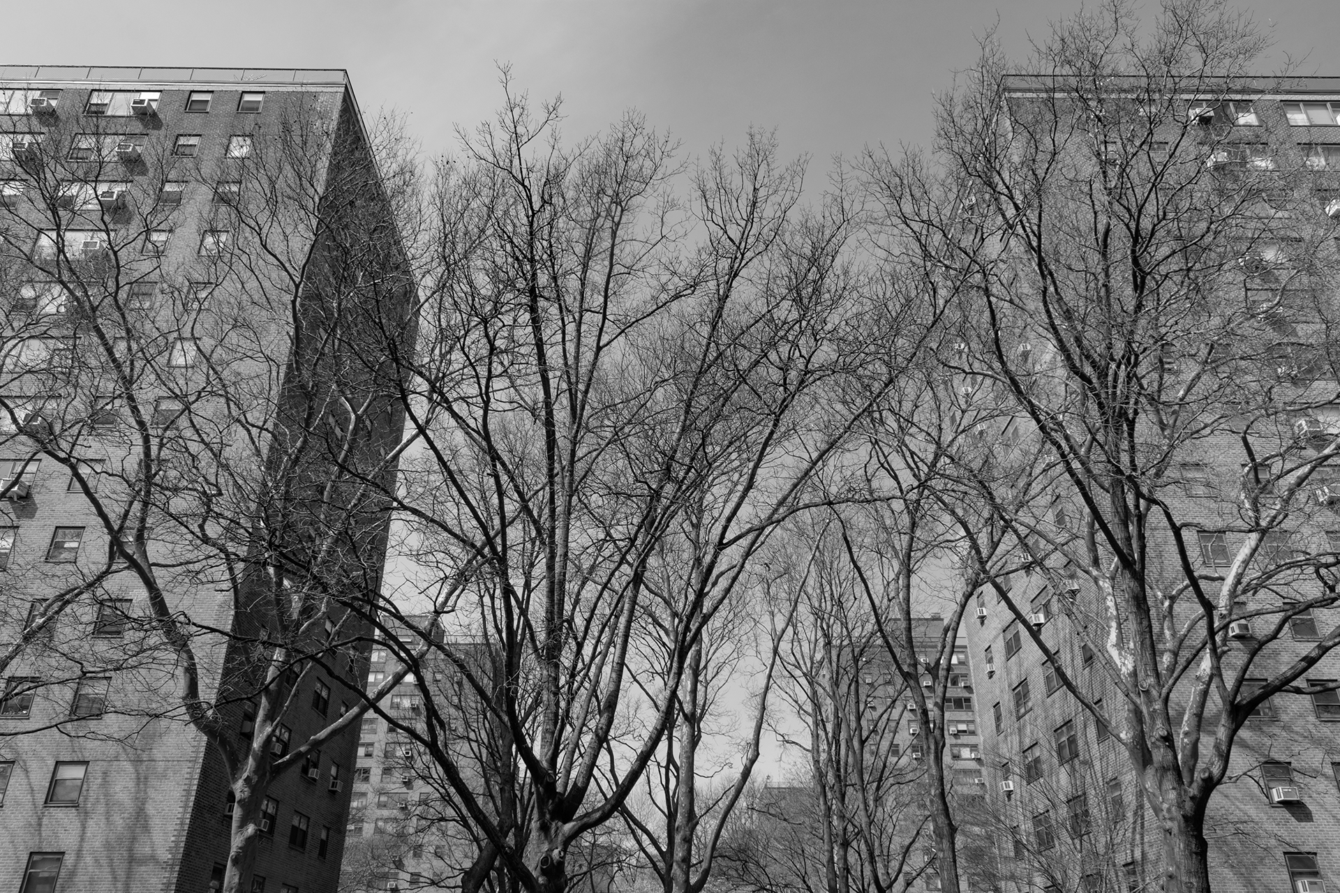 Multifamily energy equity