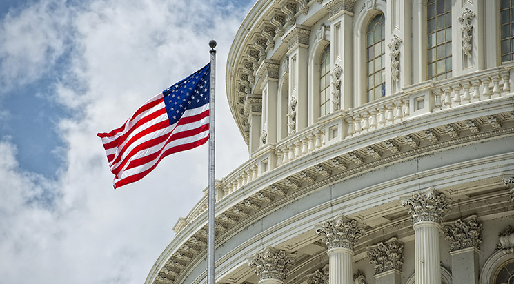 Flag in front of Capital Building