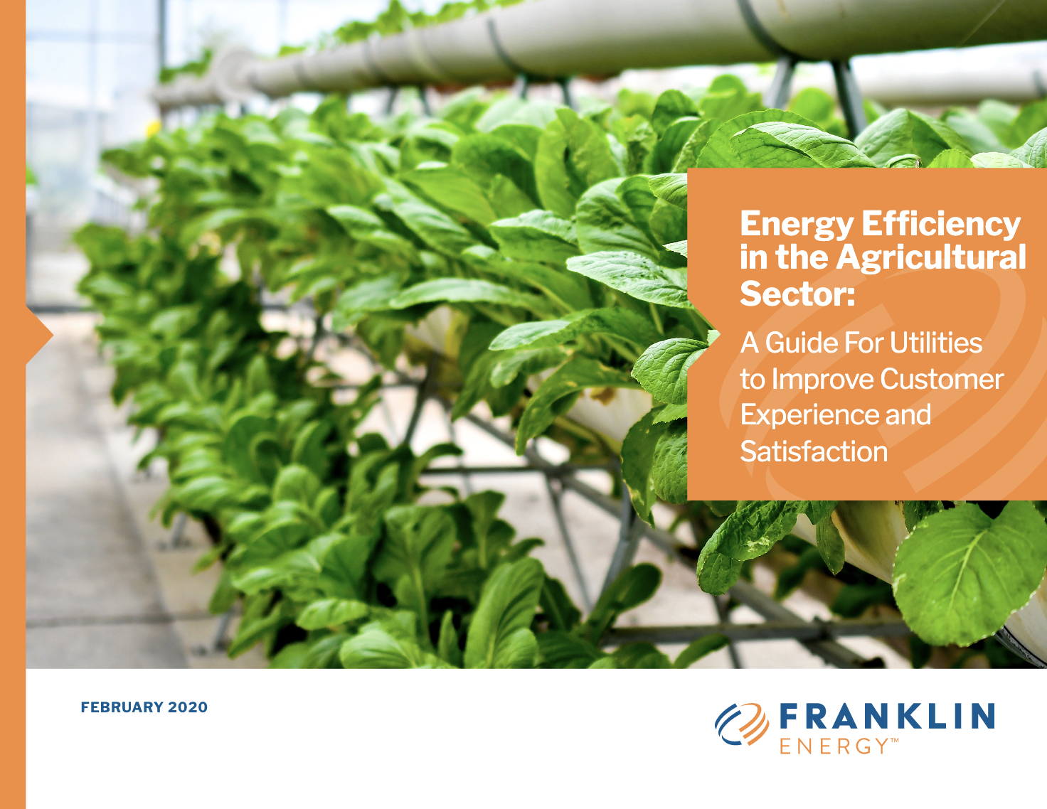 Energy Efficiency in the Agricultural Sector