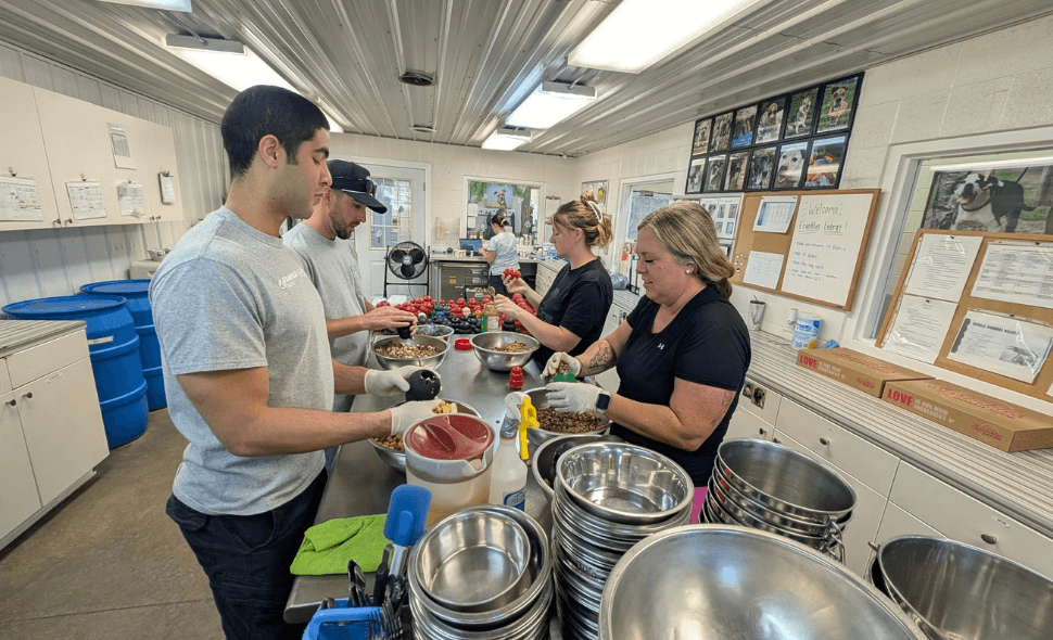 volunteers at habitat for humanity